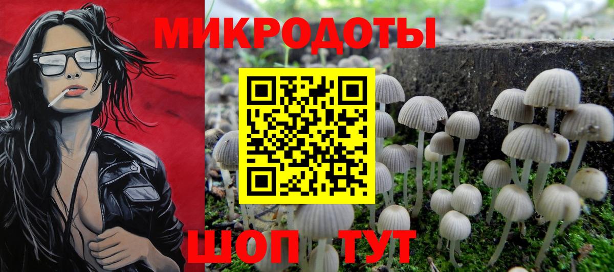 Псилоцибиновые грибы ЛСД Михайловка